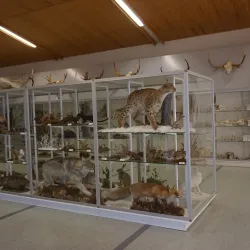 Kokkola Maritime Museum - Kokkola