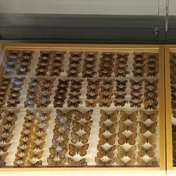 Kokkola Maritime Museum - Kokkola