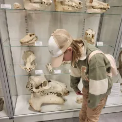 Kokkola Maritime Museum - Kokkola