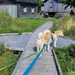 Tankar Island Lighthouse and Nature Reserve - Kokkola
