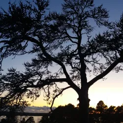 Hovinsaari Island - Kotka