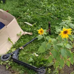 Hovinsaari Island - Kotka