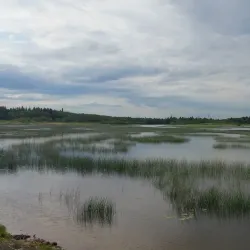 Hovinsaari Island - Kotka