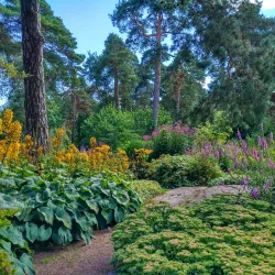 Isopuisto Park - Kotka