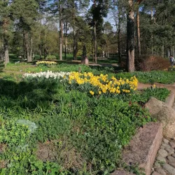 Isopuisto Park - Kotka