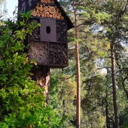 Isopuisto Park - Kotka