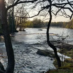 Kymi River - Kotka