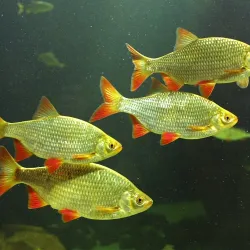 Maretarium - Finnish Sea Life - Kotka