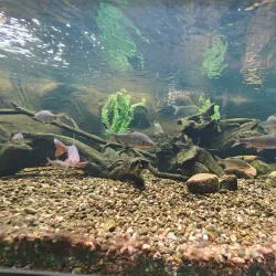 Maretarium - Finnish Sea Life - Kotka