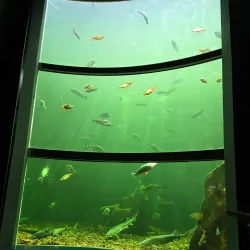 Maretarium - Finnish Sea Life - Kotka