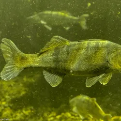 Maretarium - Finnish Sea Life - Kotka