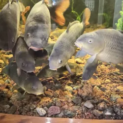 Maretarium - Finnish Sea Life - Kotka