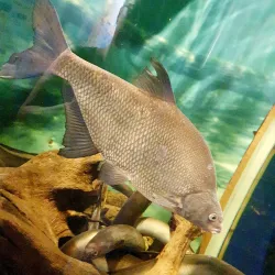 Maretarium - Finnish Sea Life - Kotka