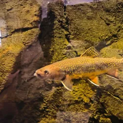 Maretarium - Finnish Sea Life - Kotka