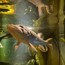 Maretarium - Finnish Sea Life - Kotka