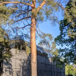 Kouvola Church - Kouvola