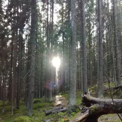 Kouvola Nature Trail - Kouvola