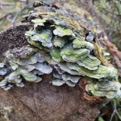 Kouvola Nature Trail - Kouvola