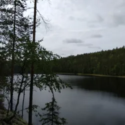 Repovesi Visitor Centre - Kouvola
