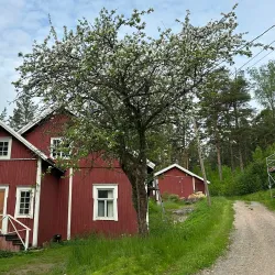 Verla Groundwood and Board Mill - Kouvola