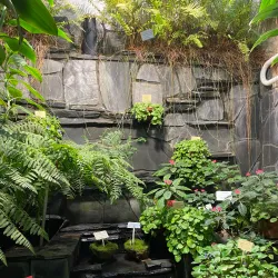 Kuopio Botanical Garden - Kuopio