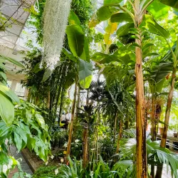 Kuopio Botanical Garden - Kuopio