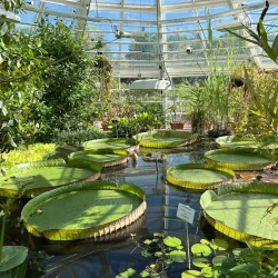 Kuopio Botanical Garden - Kuopio