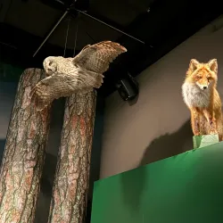 Kuopio Museum - Kuopio