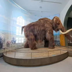 Kuopio Museum - Kuopio