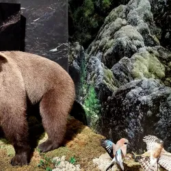 Kuopio Museum - Kuopio