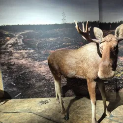 Kuopio Museum - Kuopio