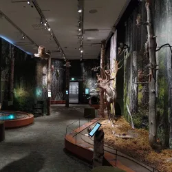 Kuopio Museum - Kuopio