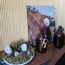 Kiviniemi Manor - Laitila