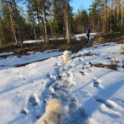 Laitila Nature Trail - Laitila