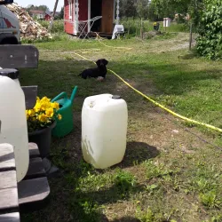 Laitila Old Town - Laitila