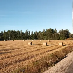 Laitila Old Town - Laitila