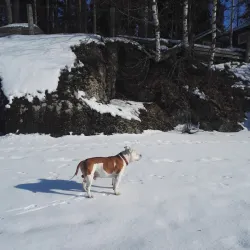 Laitila Sauna Museum - Laitila