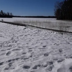 Laitila Sauna Museum - Laitila