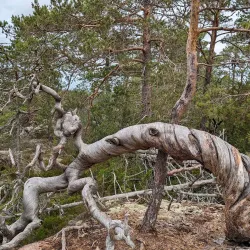 Geta Nature Reserve - Åland (Ahvenanmaa)