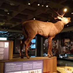 Åland Museum (Ålands Museum) - Åland (Ahvenanmaa)