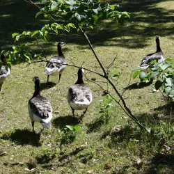 Lilla Holmen Park - Åland (Ahvenanmaa)