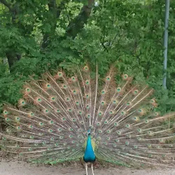 Lilla Holmen Park - Åland (Ahvenanmaa)