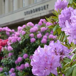Mariehamn City Hall - Åland (Ahvenanmaa)