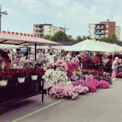Kauppatori Market Square - Lappeenranta