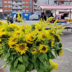 Kauppatori Market Square - Lappeenranta