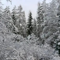 Saimaa Canal - Lappeenranta