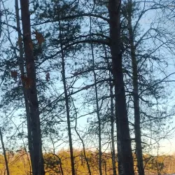 Saimaa Nature Trail - Lappeenranta