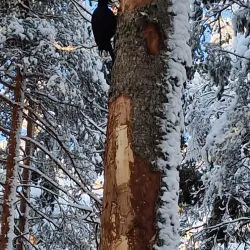Saimaa Nature Trail - Lappeenranta