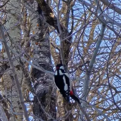 Saimaa Nature Trail - Lappeenranta