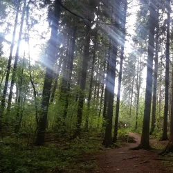 Keskuspuisto Park - Lapua